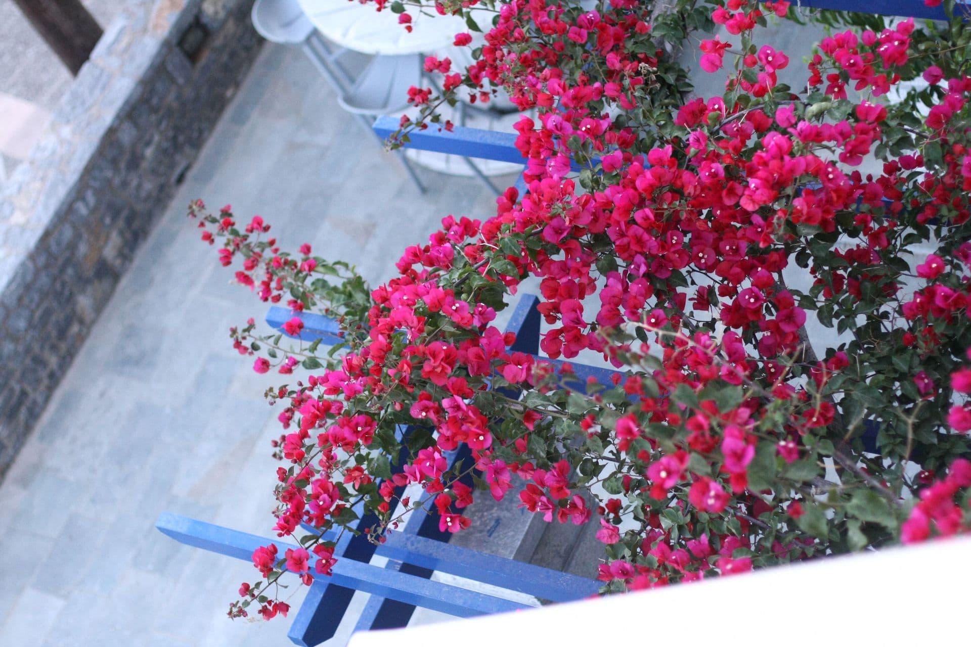 Chios Xenia 10