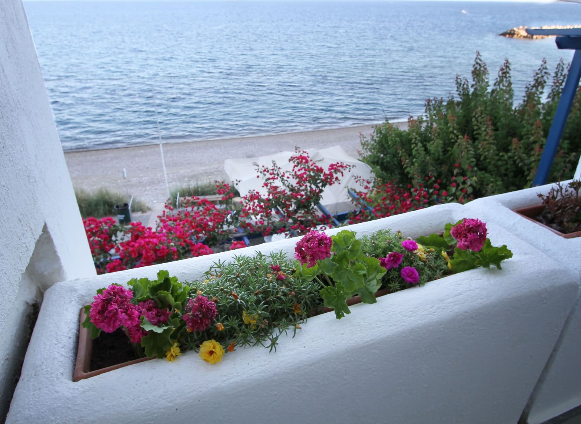 Chios Xenia 12